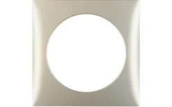 Berker Integro Telaio 1gang In Acciaio Inox Laccato Opaco