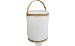 Schwaiger RGB LED Beverage Cooler Con Altoparlante Bluetooth Piccolo 2600 MAh